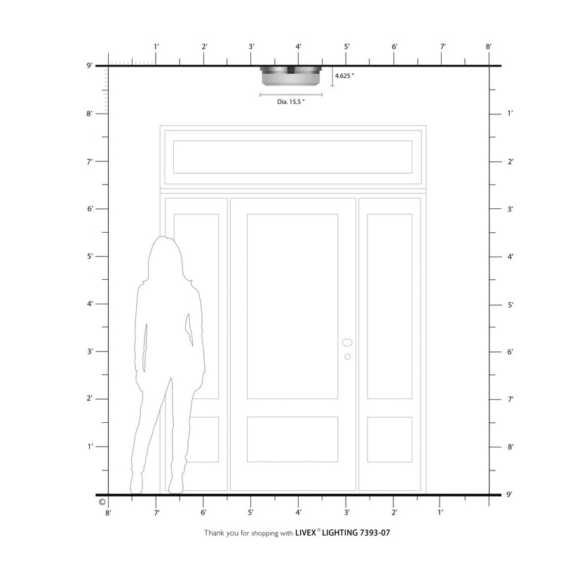 Livex Lighting Ceiling Mount or Wall Mount