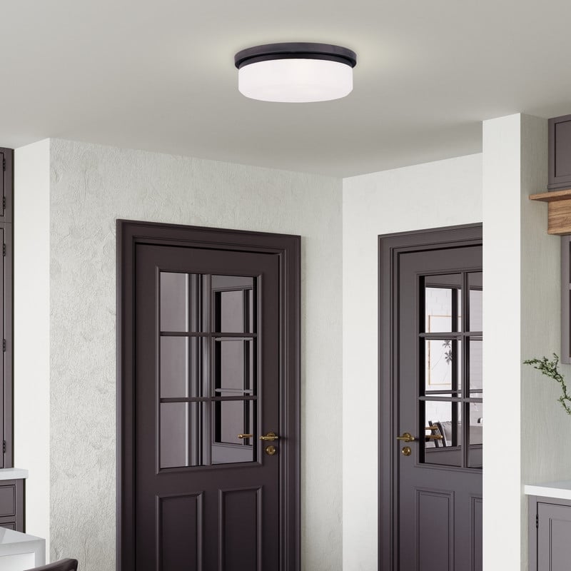 Livex Lighting Ceiling Mount or Wall Mount