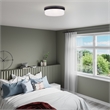 Livex Lighting Ceiling Mount or Wall Mount
