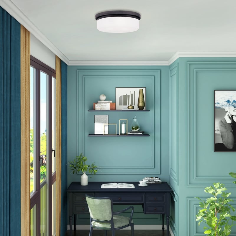 Livex Lighting Ceiling Mount or Wall Mount