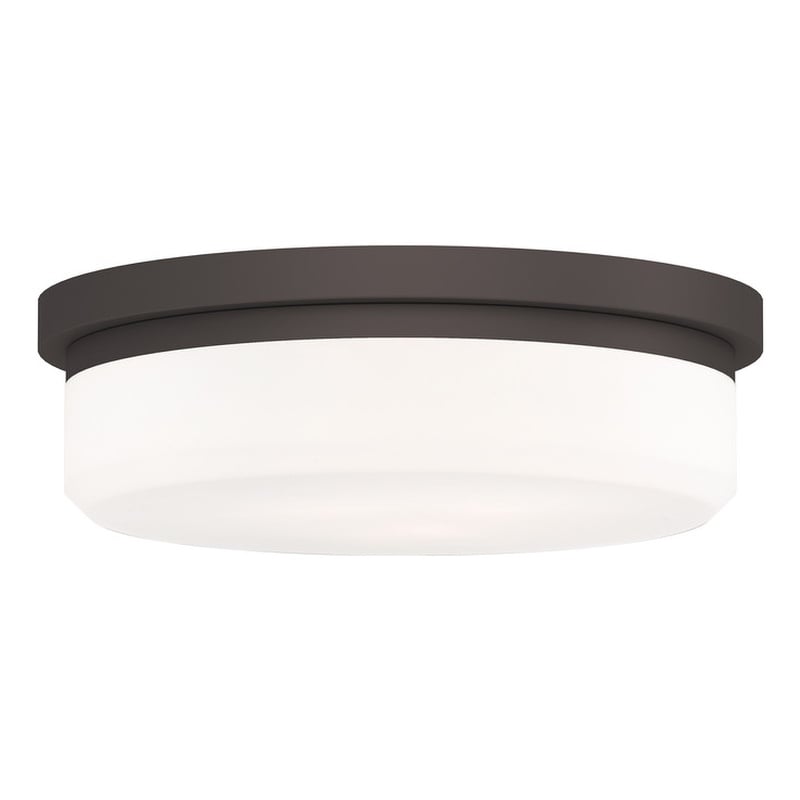 Livex Lighting Ceiling Mount or Wall Mount