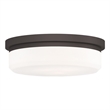 Livex Lighting Ceiling Mount or Wall Mount