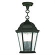 Livex Lighting Hamilton Outdoor Chain-Hang Lantern in Textured Black