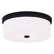 Livex Lighting Meridian Ceiling Mount in Bronze