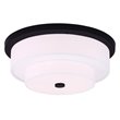 Livex Lighting Meridian Ceiling Mount in Bronze