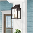 Livex Lighting Nyack 17.5