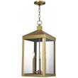 Livex Lighting Nyack 3 Light Outdoor Hanging Lantern in Antique Brass