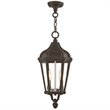 Livex Lighting Morgan 2 Light Outdoor Hanging Lantern in Textured Black