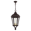 Livex Lighting Morgan 3 Light Outdoor Hanging Lantern in Bronze