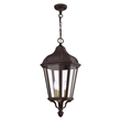 Livex Lighting Morgan 3 Light Outdoor Hanging Lantern in Bronze