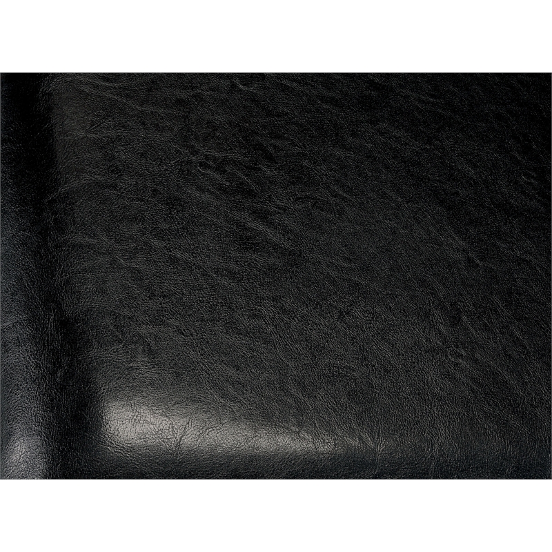 Furniture of America Egnew Faux Leather Padded Dining Chair in Black (Set of 2)