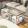 Furniture of America Beller Contemporary Metal 1-Shelf Coffee Table in Chrome