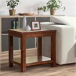 Furniture of America Granger Transitional Wood 1-Shelf End Table in Cherry