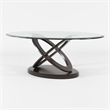 Furniture of America Darbunic Wood Glass Coffee Table in Dark Walnut
