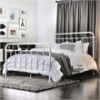 Furniture of America Celinda Metal King Spindle Bed in Vintage White