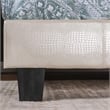 Furniture of America Nicole Faux Leather Queen Platform Bed in Pearl White