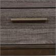 Furniture of America Charlsie Solid Wood 2-Drawer Nightstand in Antique Gray