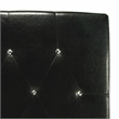 Furniture of America Kylen Faux Leather Twin Headboard in Black
