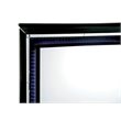 Furniture of America Rachel Wood 9-Drawer LED Dresser and Mirror in Black