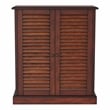 Furniture of America Medley Transitional Wood 5-Shelf Shoe Cabinet in Oak