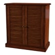 Furniture of America Medley Transitional Wood 5-Shelf Shoe Cabinet in Oak