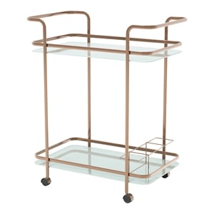 Furniture of America Anneliese Contemporary Metal Bar Cart in Gold Champagne