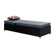 Furniture of America Walker Aluminum Adjustable Patio Chaise Lounge in Gray
