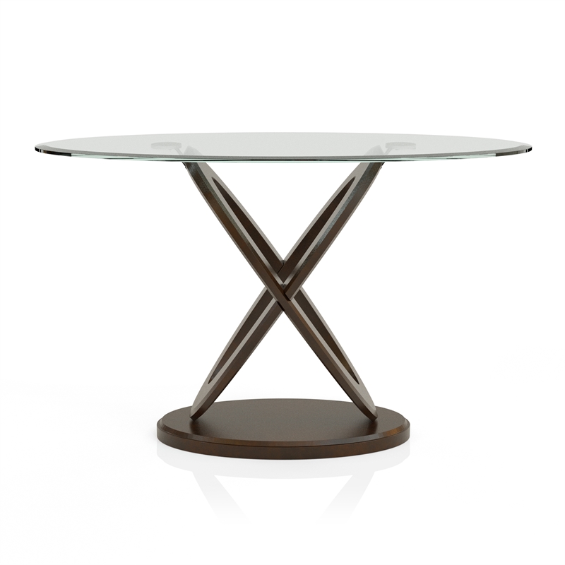 Furniture of America Darbunic Contemporary Wood Console Table in Dark Walnut