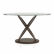 Furniture of America Darbunic Contemporary Wood Console Table in Dark Walnut