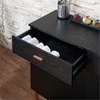 Furniture of America Coloma Wood 2-Drawer Buffet Server in Black and Rose Gold