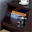 Furniture of America Moshe Modern Wood Storage End Table in Walnut