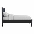 Furniture of America Belkor Solid Wood Twin Platform Bed in Black