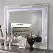 Furniture of America Xulu Wood 2-Piece Dresser and Mirror Set in Silver
