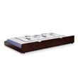 Furniture of America Barnes Transitional Wood Twin XL Trundle in Espresso