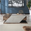 Furniture of America Menster Modern Wood Storage Coffee Table in Reclaimed Oak