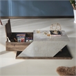 Furniture of America Menster Modern Wood Storage Coffee Table in Reclaimed Oak