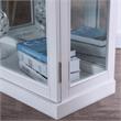 Furniture of America Mendes Transitional Wood 4-Shelf Curio Cabinet in White