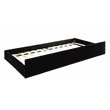 Furniture of America Marlene Contemporary Fabric Daybed with Trundle in Black