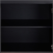 Furniture of America Coloma Wood 2-Drawer Buffet Server in Black and Chrome