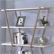 Furniture of America Ketano Metal 4-Shelf Bookcase in Gold Champagne