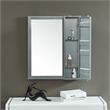 Furniture of America Lionna Contemporary Metal Storage Wall Mirror in Silver
