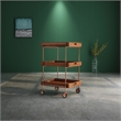 Furniture of America Kliman Industrial Wood 3-Tier Bar Cart in Walnut
