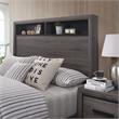 Furniture of America Drummond Wood Queen Storage Panel Bed in Gray
