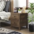 Furniture of America Daena Rustic Wood 2-Drawer Nightstand in Distressed Walnut