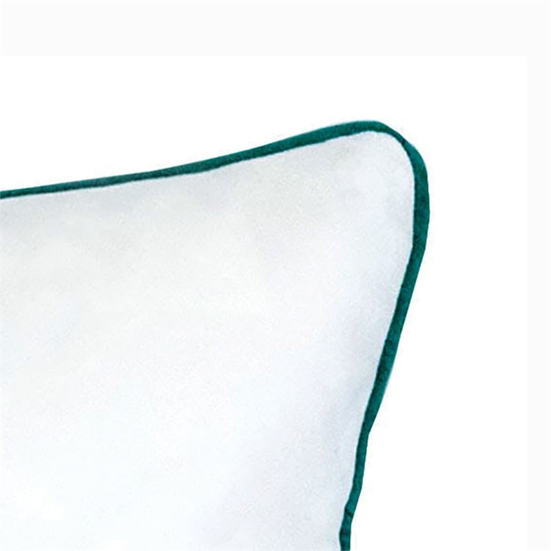 Furniture of America Paloma Fabric 20-Inch Teal Blue Throw Pillow (Set of 2)