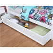 Furniture of America Poppy Transitional Solid Wood Trundle in White