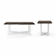 Furniture of America Baletto Wood 2-Piece Coffee Table Set in Oak and White