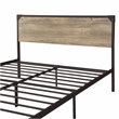 Furniture of America Budenholz Metal Queen Platform Bed in Gray