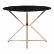 Furniture of America Leonisis Glass Top Round Dining Table in Gold