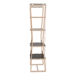 Furniture of America Abair Contemporary Glass Shelves Bookcase in Gold